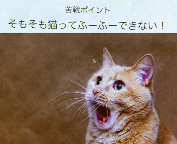 海外の支援者が日本の2倍超！大人気の「猫舌ふーふー」先行体験イベント開催　けなげに頑張るプロトタイプも公開