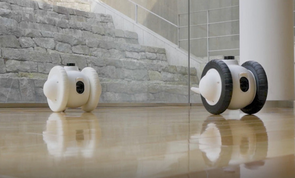 ドコモ/ユカイ/アスラテックら、6G 「AIのためのネットワーク」で3タイプのコンセプトモデルロボットを開発