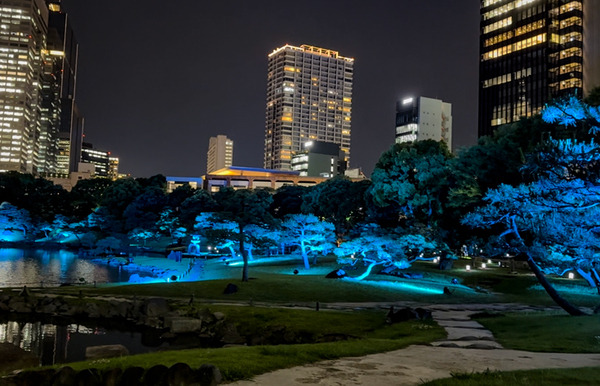 日本庭園で幻想的な光と音のライトアップを楽しむ「旧芝離宮夜会 ひかりめぐる庭」体験レポート　5月25日まで開催