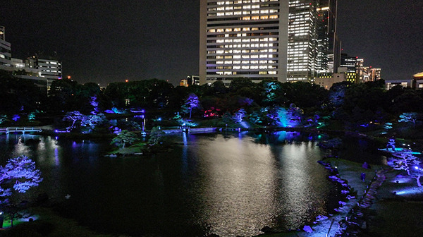 日本庭園で幻想的な光と音のライトアップを楽しむ「旧芝離宮夜会 ひかりめぐる庭」体験レポート　5月25日まで開催