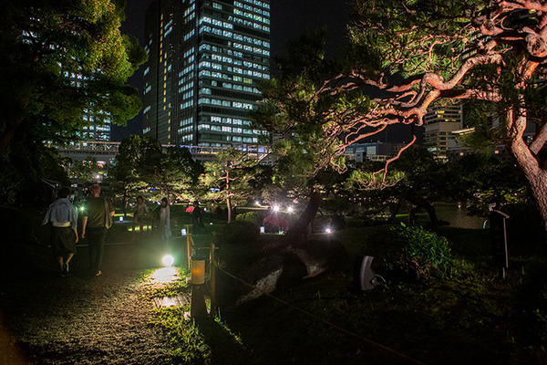 日本庭園で幻想的な光と音のライトアップを楽しむ「旧芝離宮夜会 ひかりめぐる庭」体験レポート　5月25日まで開催