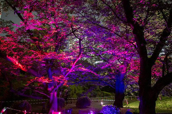 日本庭園で幻想的な光と音のライトアップを楽しむ「旧芝離宮夜会 ひかりめぐる庭」体験レポート　5月25日まで開催