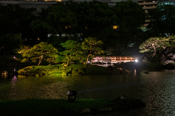日本庭園で幻想的な光と音のライトアップを楽しむ「旧芝離宮夜会 ひかりめぐる庭」体験レポート　5月25日まで開催