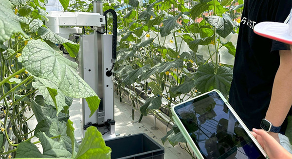 <p>シェア 0 ツイート 0 はてブ 0</p>