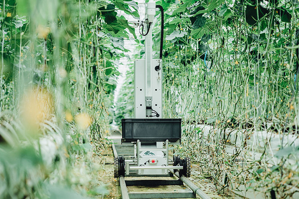 小学生対象の「ロボットのリモート操作による収穫体験」イベントを千葉県で開催へ　アグリスト