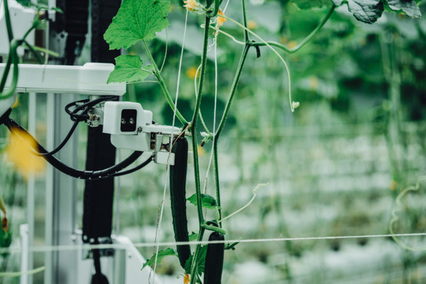 小学生対象の「ロボットのリモート操作による収穫体験」イベントを千葉県で開催へ　アグリスト