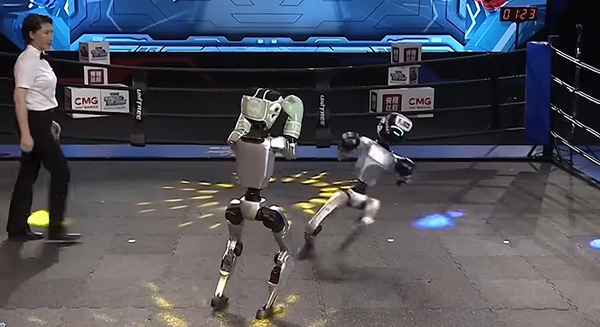 ヒューマノイド同士の格闘技大会が開催　世界の有識者や観衆はどう見たか? 　ユニツリー・コンバット・コンペティション