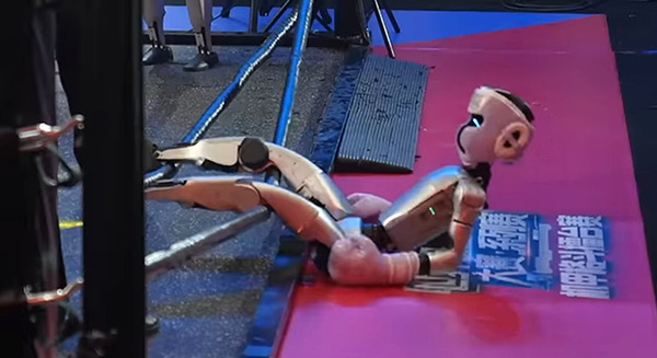 ヒューマノイド同士の格闘技大会が開催　世界の有識者や観衆はどう見たか? 　ユニツリー・コンバット・コンペティション