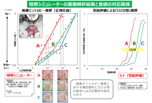 クッキーなど「口どけ感」も再現して見える化　最新の咀嚼シミュレーターをJ-オイルミルズと阪大が共同開発