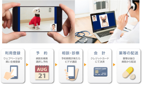 「ペットのオンライン診療サービス」を標準搭載の分譲マンションが登場　スマートホーム全戸採用で来年2月竣工