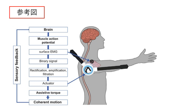 サイボーグ型ロボット装着者が「動かす意志」を持つことで脳の高次運動野が活性化、筑波大学が世界初実証　臨床応用に期待