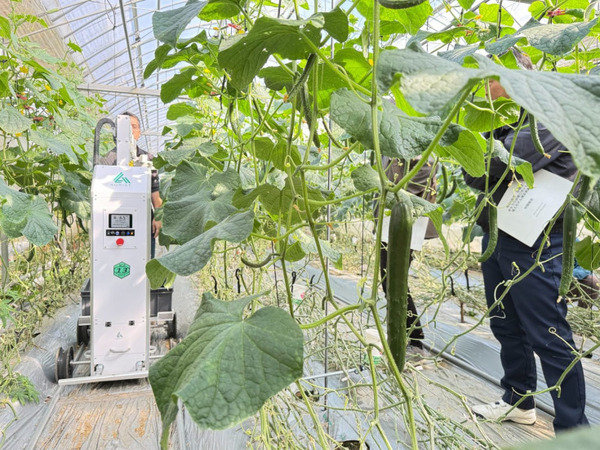 AGRIST×宮崎市「きゅうり収穫ロボット導入モデル構築事業」進捗