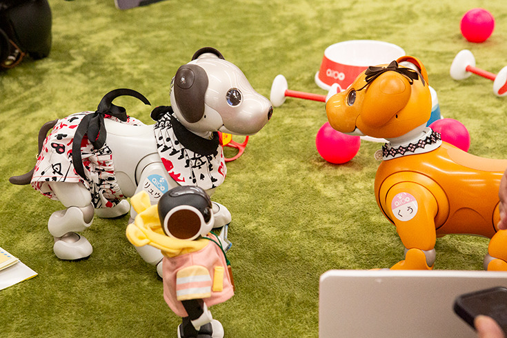 ロボットとの“ちょっと先の未来”を体験！ 家族連れやカップルでにぎわう「ちょもろー2025」竹芝で開催　ともだちロボットが人気