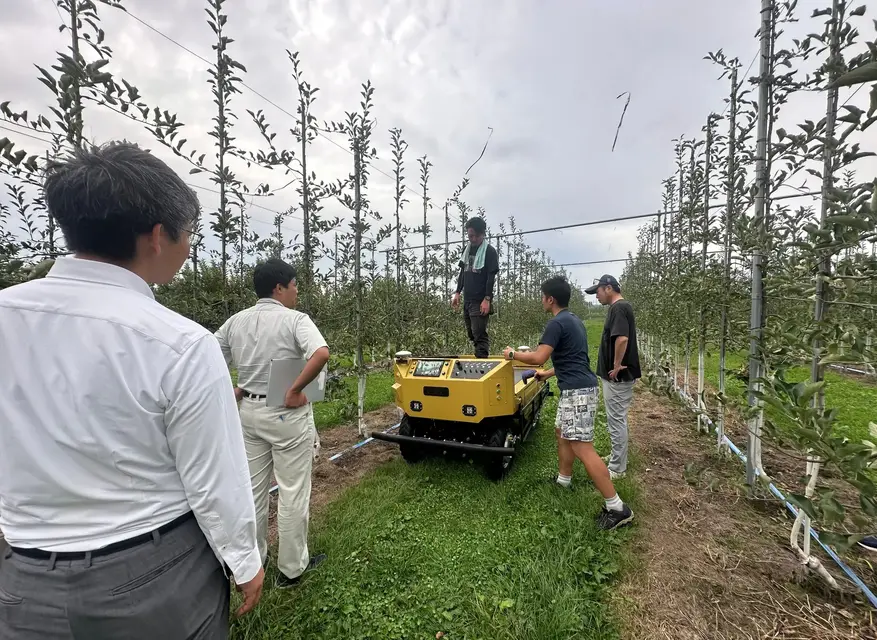 高密植わい化栽培によるりんご園地での実証