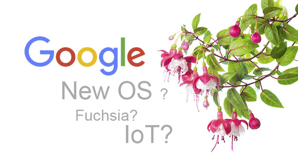 Googleが新しいOS「Fuchsia」を開発しているというウワサ、IoTに照準か? 画像