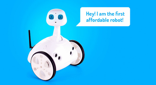イスラエルのロボット「Robit(ロビット)」クラウドファンディング失敗に終わる 画像