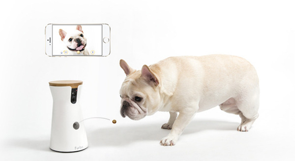 これもある意味ロボット?ドッグカメラ「Furbo」 画像