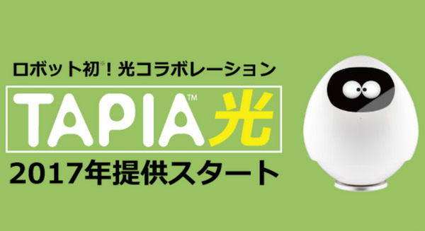 コミュニケーションロボット「Tapia(タピア)」、NTT光コラボを活用した「タピア光」提供へ 画像