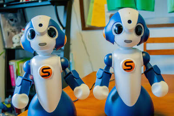 【普及型社会的対話ロボット】ヴイストンSota（ソータ）レビュー！ その1「開封の儀」 画像