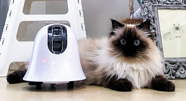 「Pet × IoT」移動式お留守番カメラロボット「ilbo」に赤外線リモコン機能を追加、スマホでの遠隔操作が可能に。 画像