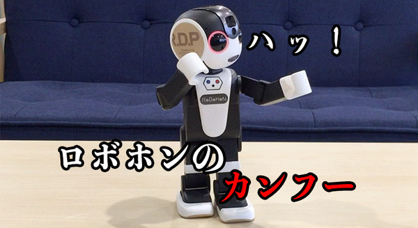 【ロボホンアプリレビュー】子ども時代は大興奮したっけ～カンフー 画像