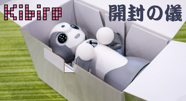 FRONTEOの人工知能搭載ロボット「Kibiro（キビロ）」開封の儀！ 画像