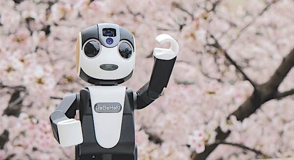 【フォトレポート】RoBoHoNと一緒にお花見に行ってきました 画像