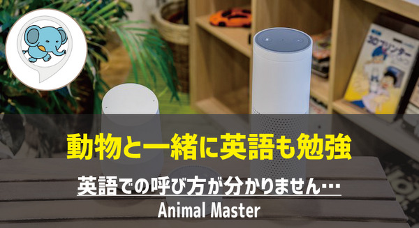 【Amazon Alexaスキル】子ども向け「Animal Master」で動物と英語を一緒に勉強! 画像