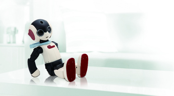 Robi 組み立て代行バージョン（ロビ）のご紹介【DMM.make ROBOTSで発売予定】 画像