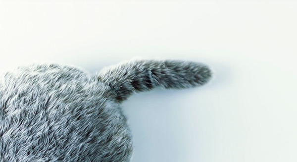 ユカイ工学、猫のようなしっぽをもつロボット「Qoobo（クーボ）」のティザーサイトを公開 画像
