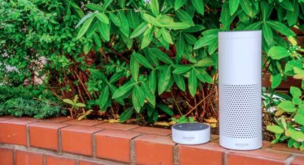 Amazon Alexaスキル開発でマネタイズ、その報酬の仕組みと稼ぐコツとは？ 画像