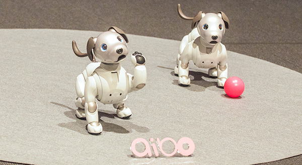 ソニーの「aibo」、11月11日に先行予約再開！ 初回分は即完売 画像