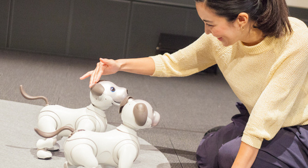 ソニー「aibo」11月11日予約販売分も即完売！次の予約はいつ・・・？ 画像