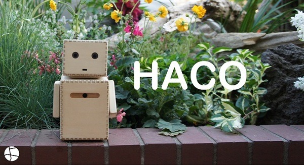 18歳の社長率いる株式会社Yoki、木製ロボット「HACO」のファンクラブ型クラウドファンディング実施中 画像