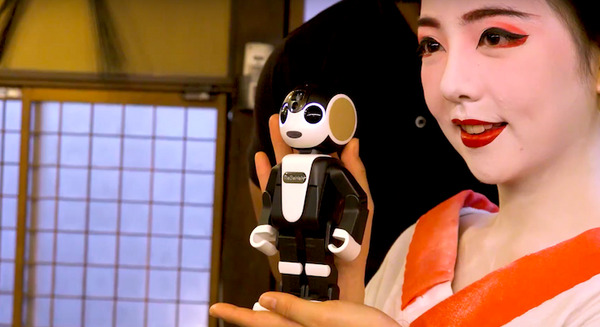 ロボホンが京都で観光案内！  JTBが「ロボ旅」を12月15日より販売開始 画像