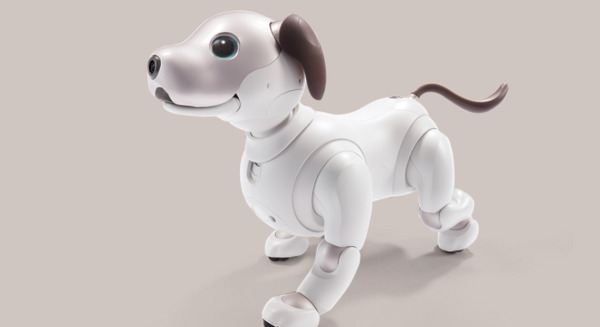 ソニーの「aibo」3度目の先行予約が12月20日開始、過去2回は即売切れ 画像