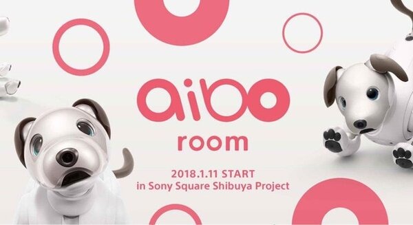 ソニースクエア渋谷プロジェクトに「aibo room」が登場～aiboに触れて、撮影して、限定グッズも貰える！【2018年1月11日開始】 画像