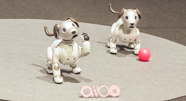 ソニーの「aibo（アイボ）」は明日1月11日発売！ aiboのスペックや価格、最新情報を改めてご紹介 画像