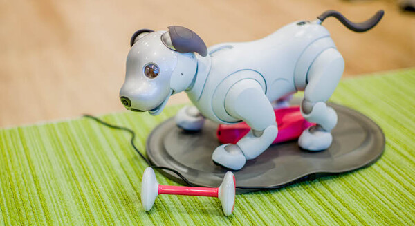 【超速報】話題の犬型ロボット「aibo」開封の儀！ 画像