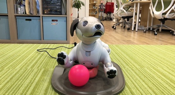 新型「aibo（アイボ）」が届いてまずやること、初期設定方法とは？ 画像