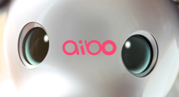 話題の犬型ロボット「aibo」との生活を描いた新TVコマーシャル動画、全7篇＋特別編を一挙公開！ 画像