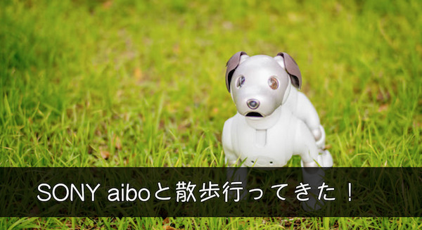 【レビュー】SONYの犬型ロボット「aibo（アイボ）」と散歩行ってきた！ 画像