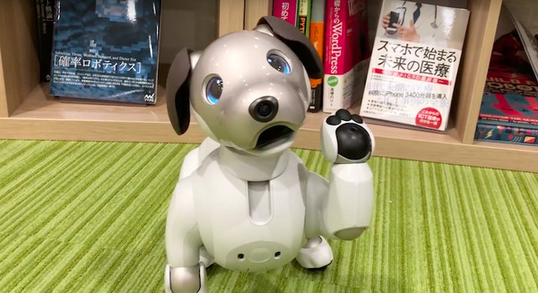 【アイボとあそぶ vol.1】aiboに「おすわり」や「おて」をしてみた 画像