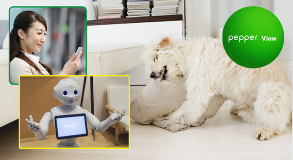 Pepperを遠隔操作できるロボアプリ「Pepper View」リリース！室内を移動して高齢者や子供、ペットの見守りなどに活用 画像