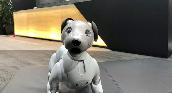 新型aiboを受付で活用　レンタルオフィスで愛らしくお迎え 画像