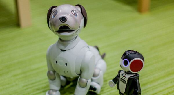 【アイボとあそぶ vol.2】シャープ「ロボホン」の言うことを聞くソニー「aibo」 画像