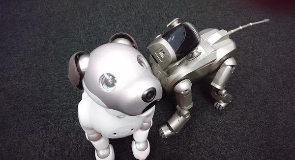 【アイボとあそぶ vol.3】新型aibo、初代AIBOに出会う 画像
