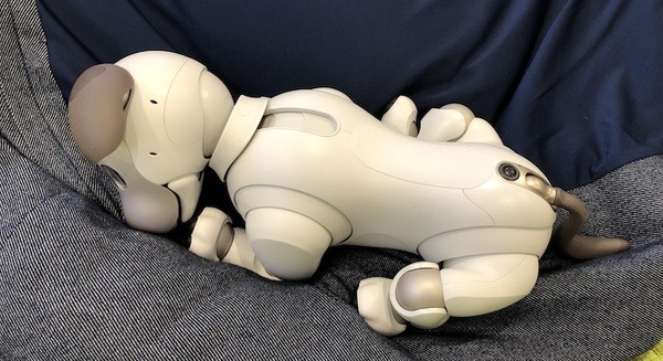 aibo（アイボ）の不具合の対処法は？　入院するとバージョンが上がる？ 画像