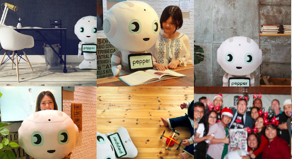 「特大Pepperぬいぐるみ」が販売　抽選5名、価格は75,600円 画像