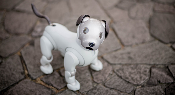 2018年3月6日午後7時「aibo」がソニーストアオンラインで限定販売！ 画像